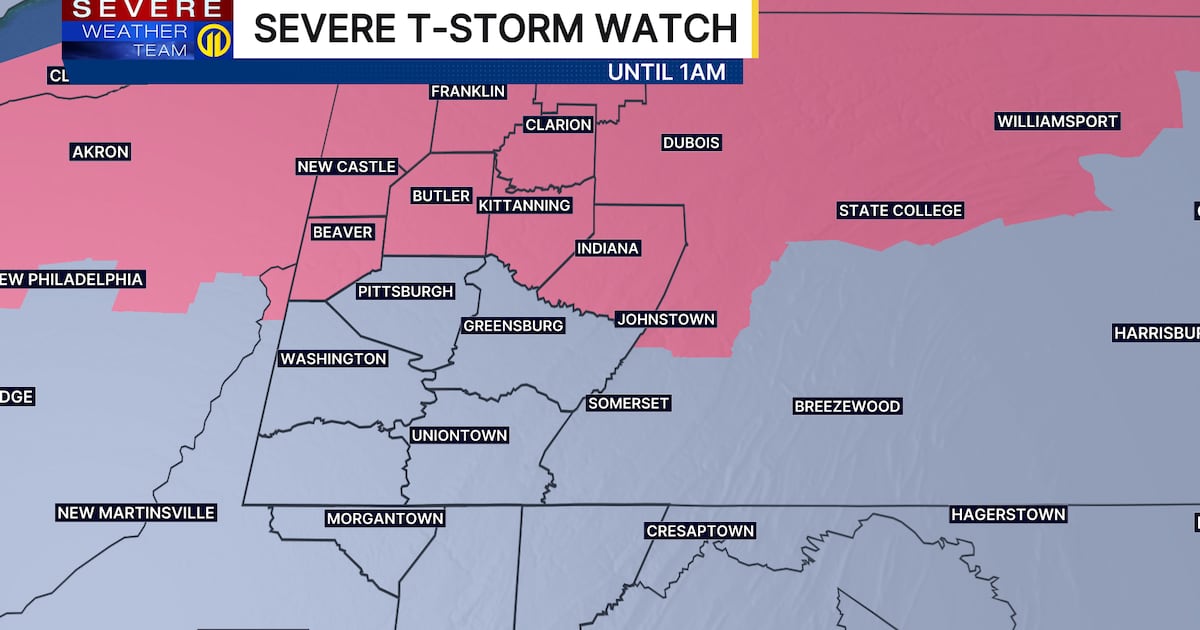 Multiple local counties under Severe Thunderstorm Watch