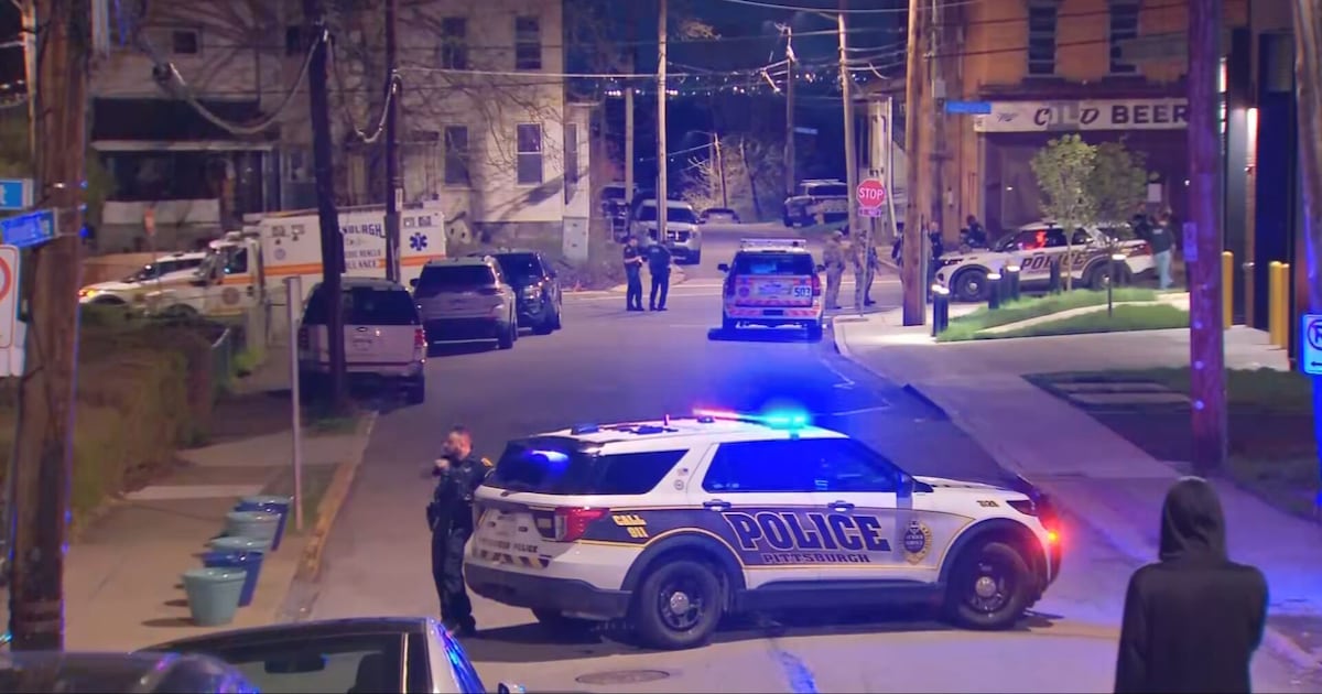 Man stabbed in head, attacked with baseball bat in Pittsburgh; police searching for 2 suspects – WPXI