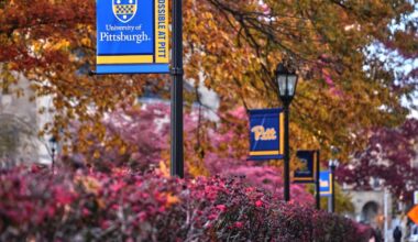 Former Pitt chancellor Mark Nordenberg to step down from leadership roles – WPXI