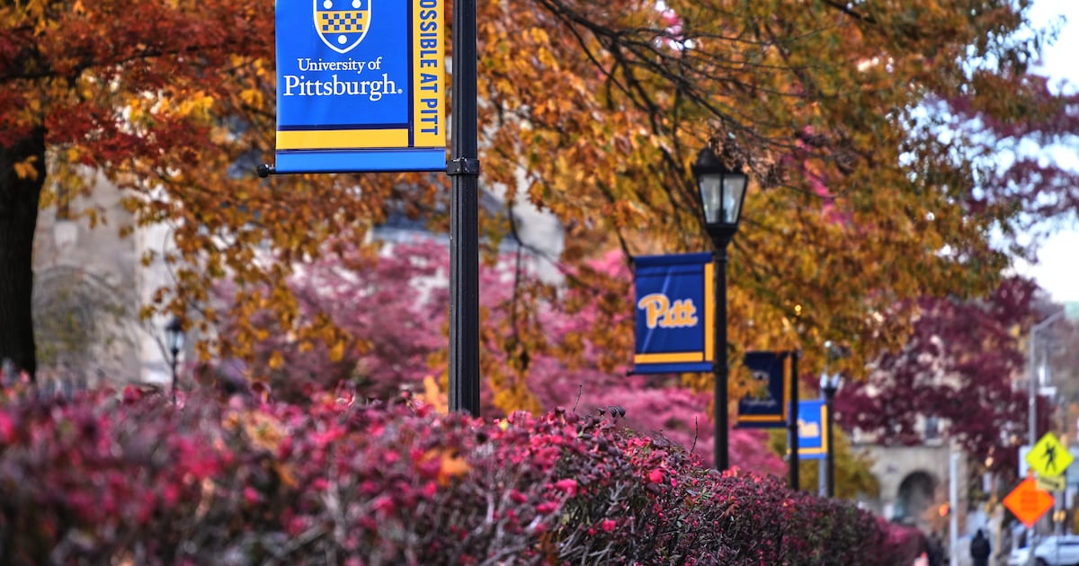 Former Pitt chancellor Mark Nordenberg to step down from leadership roles – WPXI