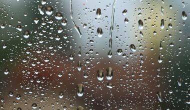Showers throughout Wednesday with gusty thunderstorms possible this evening – WPXI