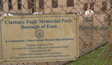 ‘Recent incidents’ prompt Etna to close playground in evening – WPXI