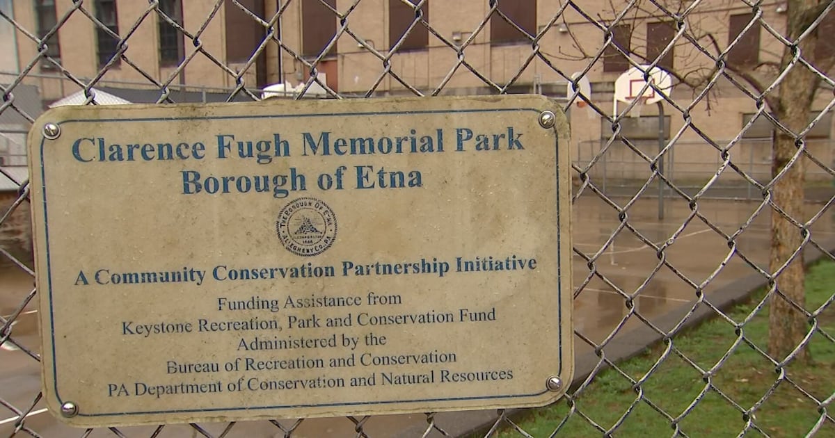 ‘Recent incidents’ prompt Etna to close playground in evening – WPXI