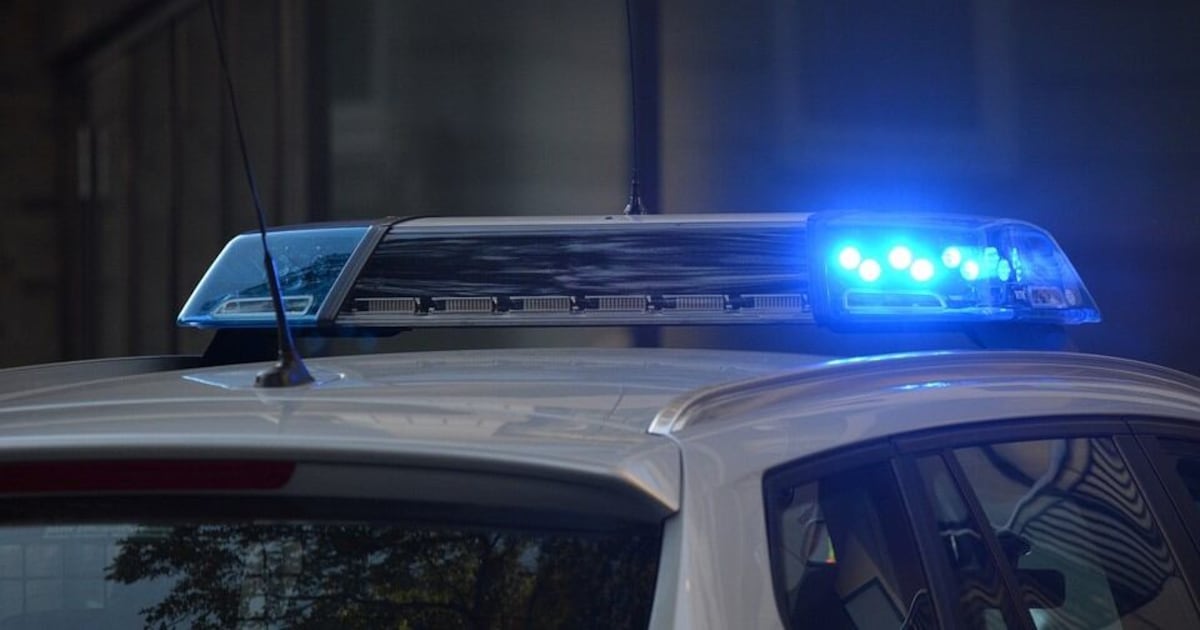 Bystander steps in to help officer involved in scuffle with suspect in West View