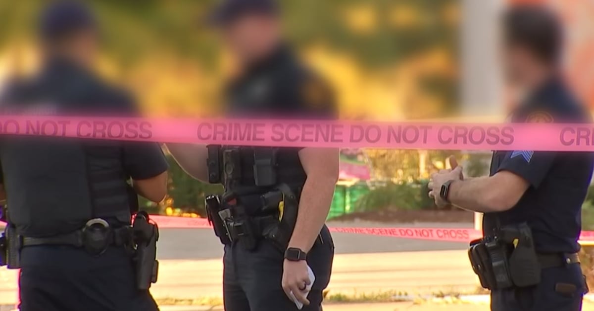 NFL Draft liability waiver on hold for Pittsburgh police officers – WPXI