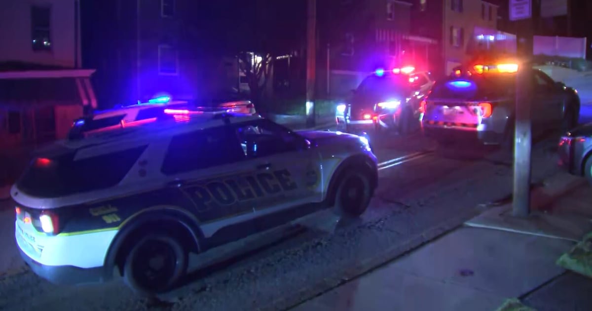 Man stabbed in head, attacked with baseball bat in Pittsburgh; police searching for 2 suspects – WPXI