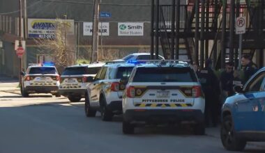 Pittsburgh police detective bitten by dog during pursuit, dog shot & killed – WPXI