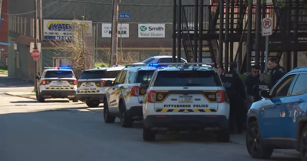 Pittsburgh police detective bitten by dog during pursuit, dog shot & killed – WPXI