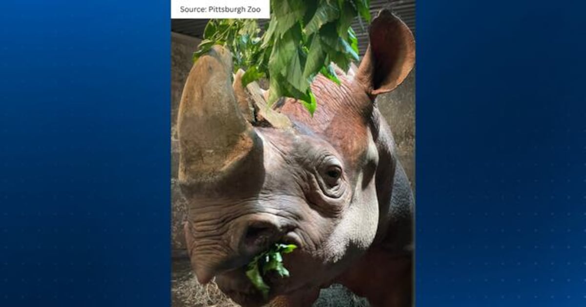Pittsburgh Zoo mourns loss of its last rhinoceros