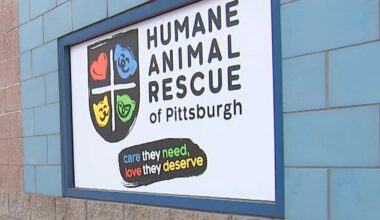 Humane Animal Rescue of Pittsburgh using NFL Draft as opportunity to find homes for some dogs