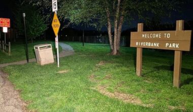 Child attacked, small dog killed by another dog in Verona, police say