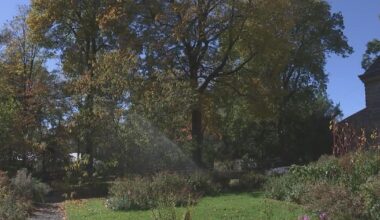 Lights out at Bartram's Garden in Philadelphia after significant vandalism, copper wire theft, park says