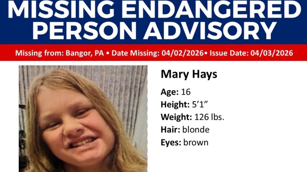 Police seek missing Northampton County teen