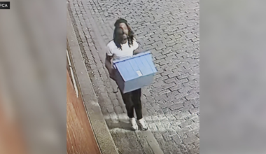 PSPCA releases video of person suspected of dumping puppies in Philadelphia, 6 animals still missing
