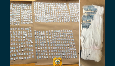 Over 14,000 bags of fentanyl found in Delaware woods