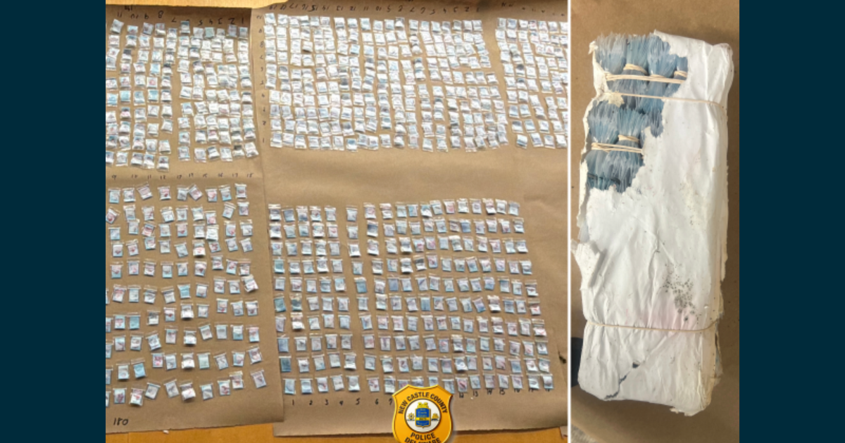 Over 14,000 bags of fentanyl found in Delaware woods
