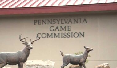 Pennsylvania expands deer rifle season with more Sunday hunting days