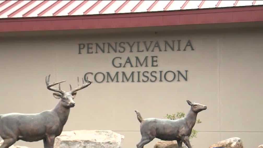 Pennsylvania expands deer rifle season with more Sunday hunting days