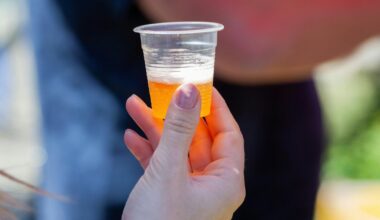 Inclusive craft beverage festival brings beer, cider and more to Spring Garden this month