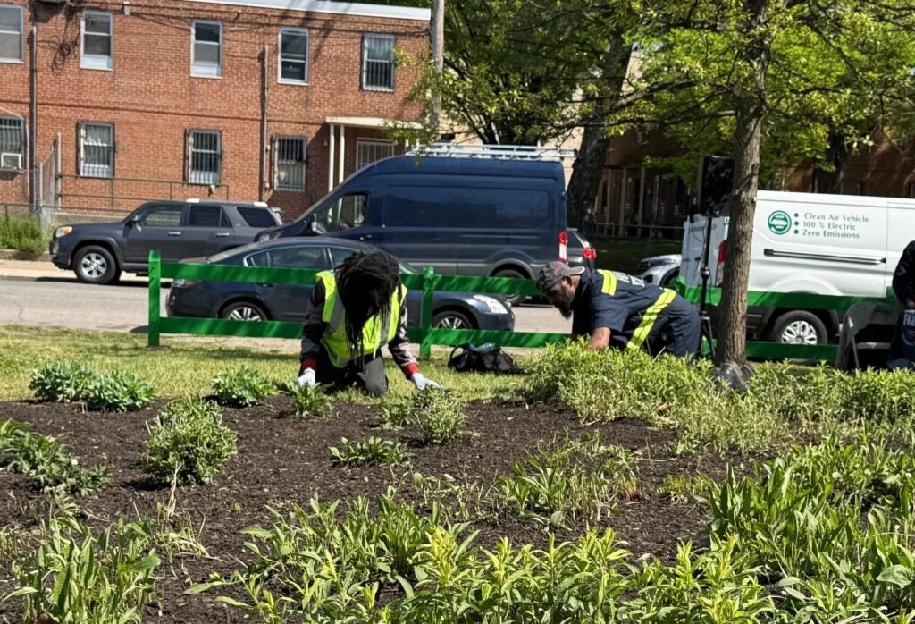 Workers are planting in the vacant lot.