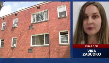 Woman accused of trying to drown 5-year-old boy she was babysitting