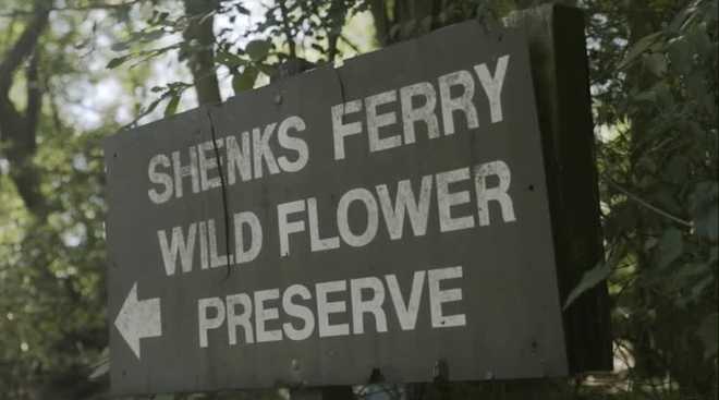 shenks ferry