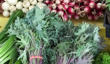 Every Sunday is Earth Day at West Reading Farmers Market 