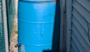 How to access free eco-friendly resources in Philly from rain barrels to compost services