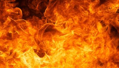 Homeowner Rescued From Fire In Feasterville