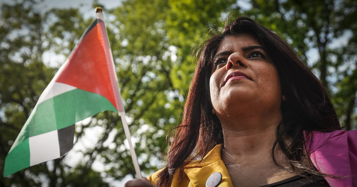 Judge orders Taiba Sultana be kicked off Democratic primary ballot in state Senate race