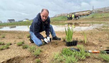 East Allen holds planting day at park – Lehigh Valley Press