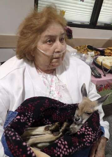 Kangaroos visit DevonHouse Senior Living April 10 – Lehigh Valley Press