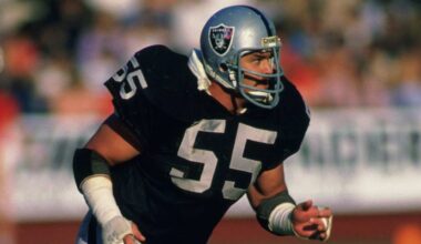Las Vegas Raiders logo