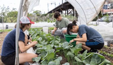 Penn researchers are turning food waste into building materials