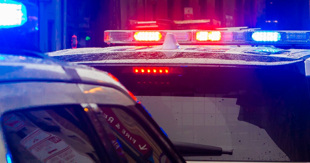 Delaware County man charged in crash that killed ex-Swarthmore professor Eduard Einstein