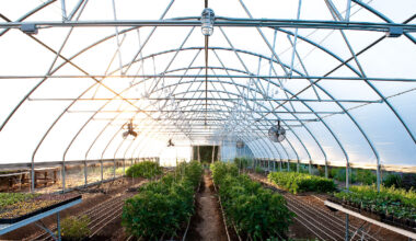 Pennsylvania greenhouse stays warm by storing heat underground » Yale Climate Connections