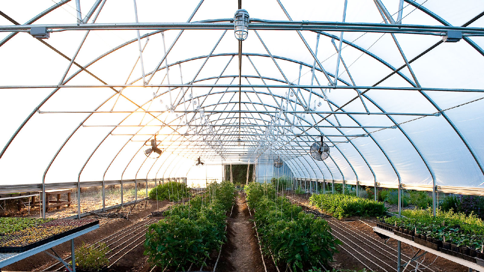 Pennsylvania greenhouse stays warm by storing heat underground » Yale Climate Connections