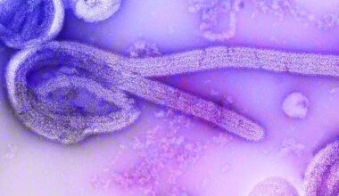 American doctor with Ebola works for Jenkintown-based missionary organization