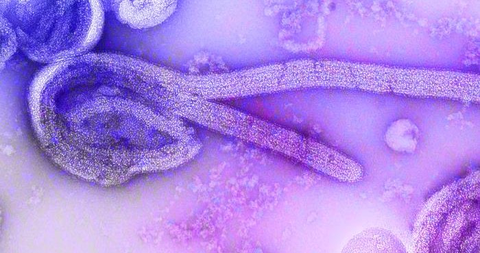 American doctor with Ebola works for Jenkintown-based missionary organization