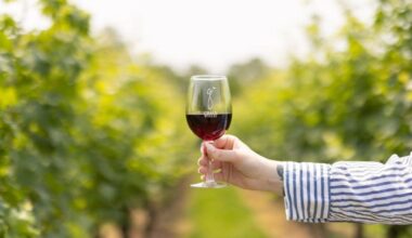 Think Pennsylvania Isn’t A Wine Destination? Grace Winery Is Changing That