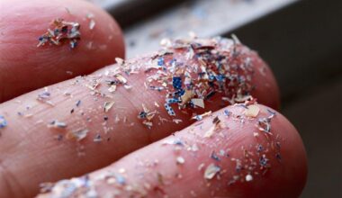 Microplastics and algal blooms are a double-whammy of trouble for Lake Erie