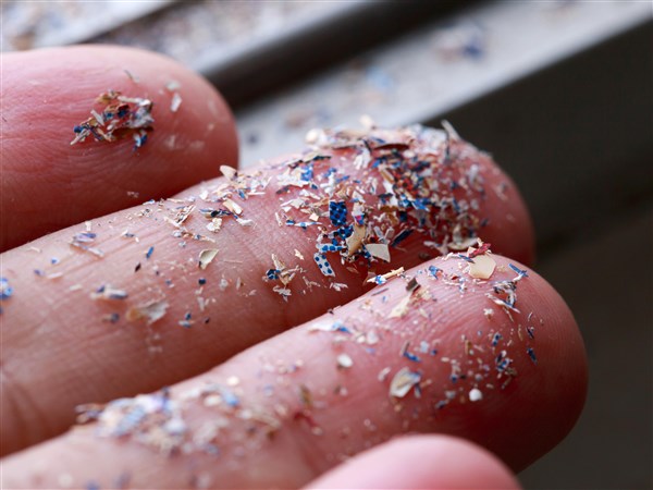 Microplastics and algal blooms are a double-whammy of trouble for Lake Erie