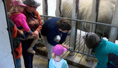 VisitErie kicks off National Travel and Tourism Week at Erie Zoo