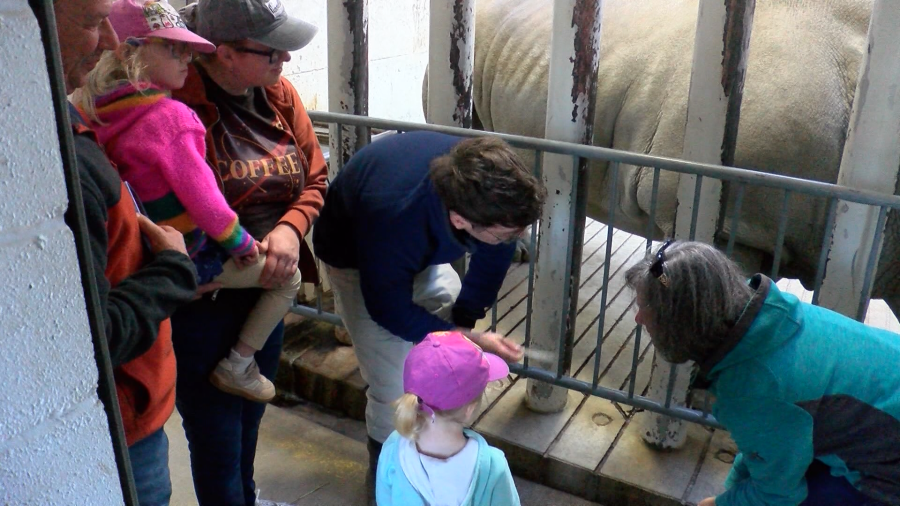 VisitErie kicks off National Travel and Tourism Week at Erie Zoo