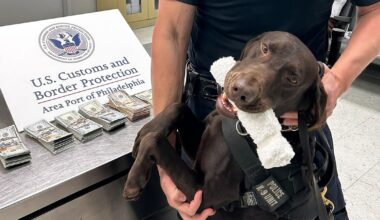 K9 alert leads to $44,000 cash seizure from Mexico-bound traveler in Philly