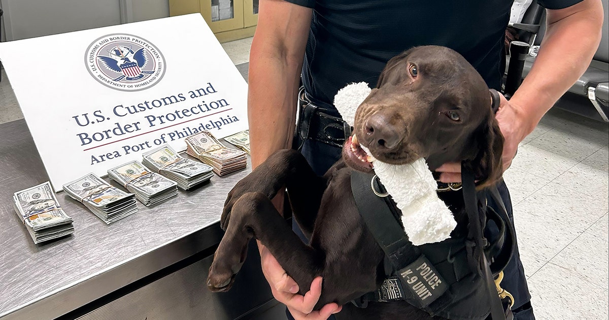 K9 alert leads to $44,000 cash seizure from Mexico-bound traveler in Philly