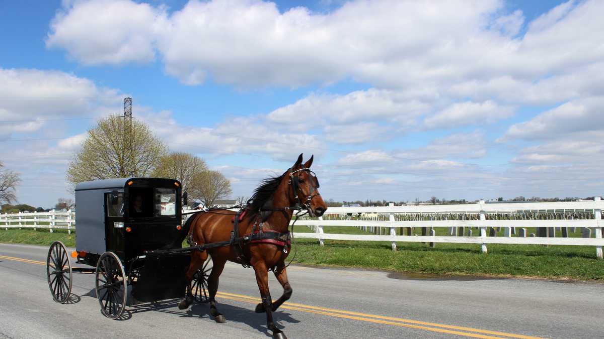 Amish impact on Pa. politics
