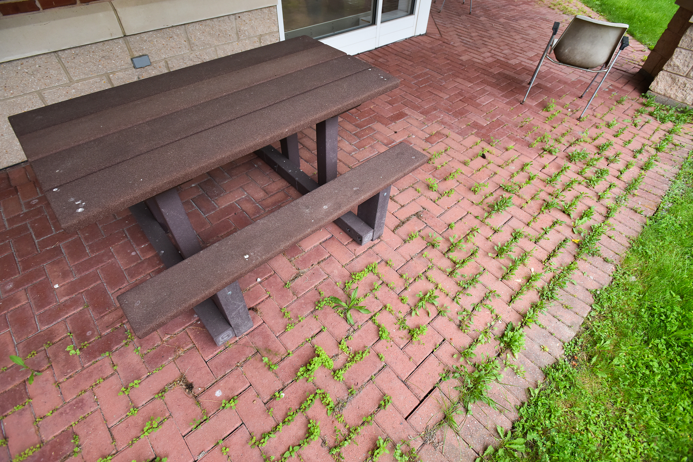 Bricks on the patio appear to overgrown with weeds at...
