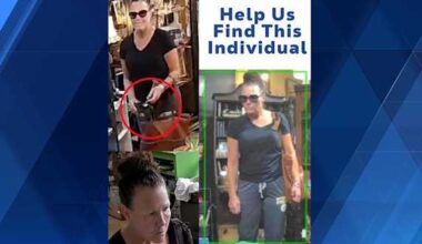 Video appears to show theft at Pittsburgh Antique Shops in Castle Shannon