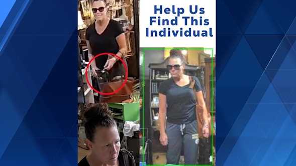Video appears to show theft at Pittsburgh Antique Shops in Castle Shannon